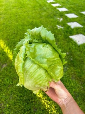 ��� �������� ���������� �����: ������ �� ������� ��������