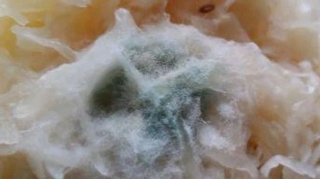 ��� �������� ����� �������� �������: ���� �������� ���������