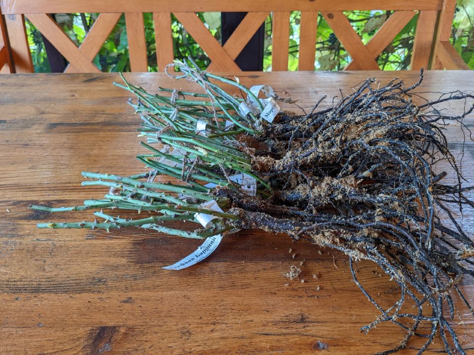 ����� �������� ����� �������� ���������� � ������ ������?