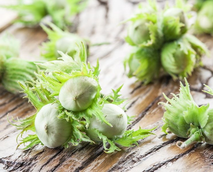 ����������� ������ ������� ������� ��� �������� ������