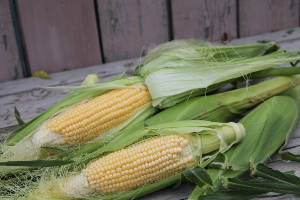 �������� � ������� ���: ��� ��������� � � ����� ���� �������