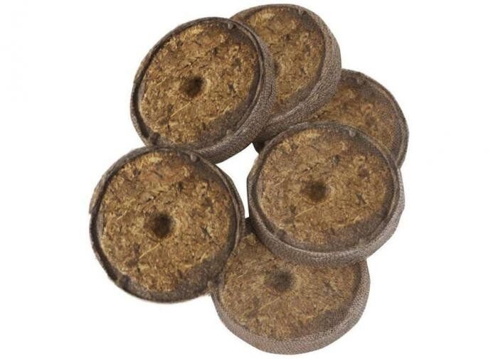 �������� �������� ��� �������: �������� ��������� '������' � �������� ��������