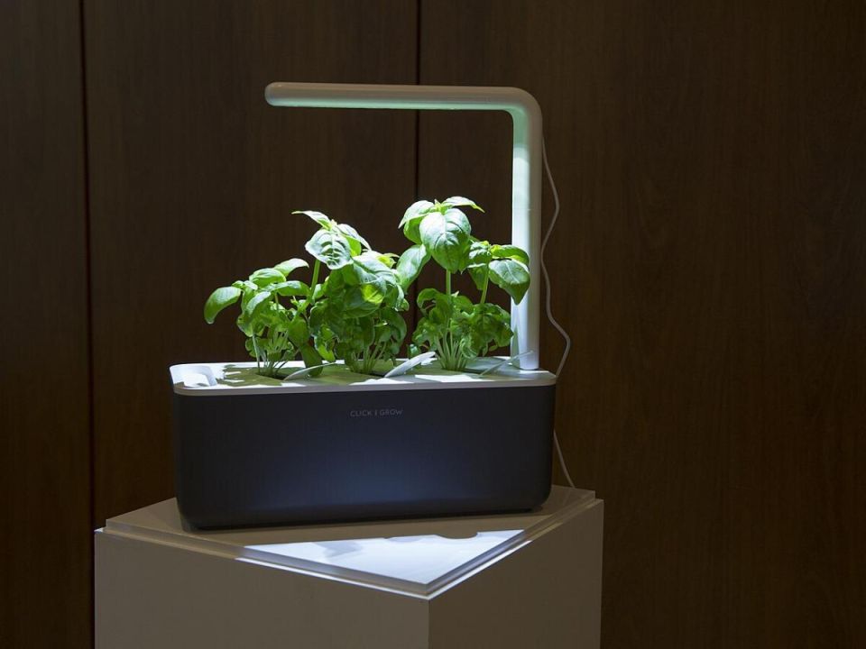 ��� �������� ������ ��� ����������� �������: ����������� ������