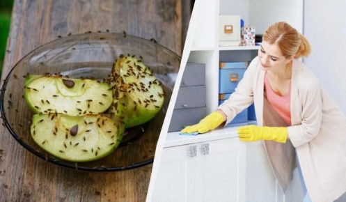 ����������� ������ ������ � ������� � ��������: ������� ������� ����������� �������