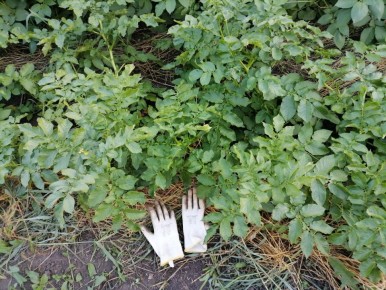 ������ ���������: ������� ����� ��������� � ������� ��� ������� �����