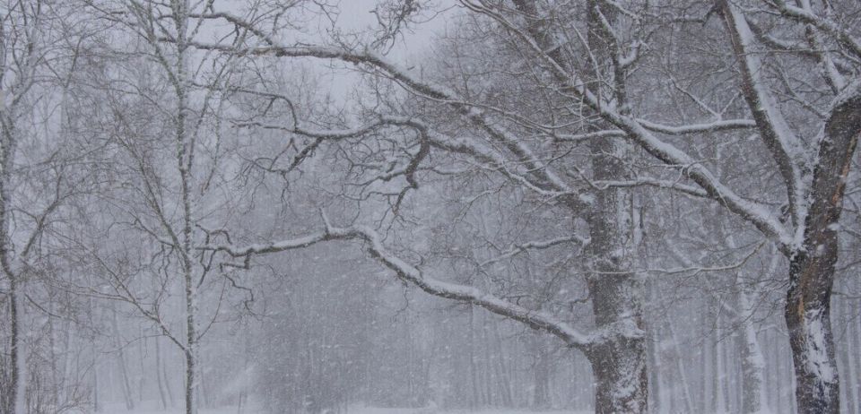 ��������� ������������ �������� � ������� ��������� � �������