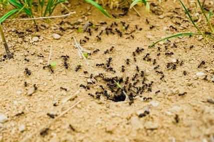 ��� ���������� � ��������� � �������: ����������� ������� ���������