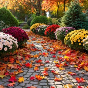 ��� ��������� ��������� ����� �� �������: ������ ��� ���������