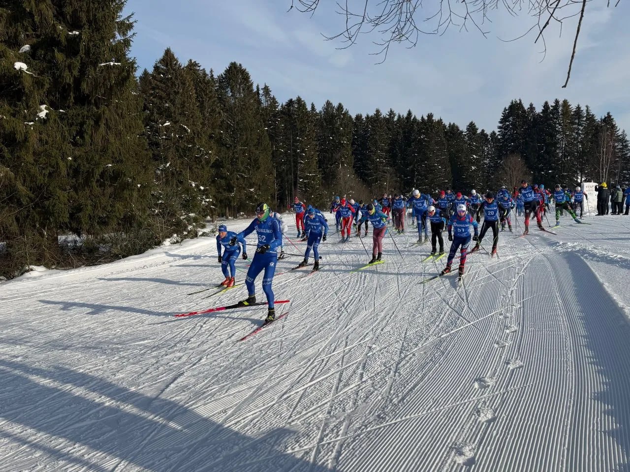 Сотрудники УМВД России по Вологодской области и УМВД России «Вологда» стали победителями на соревнованиях по лыжным гонкам Сотрудники УМВД России по Вологодской области и УМВД России «Вологда» стали победителями на соревнованиях по лыжным гонкам