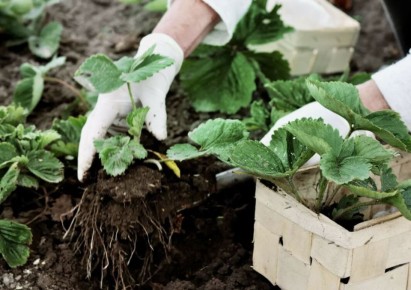 ������� �������� ������� ������� �������� ��� ������� ������