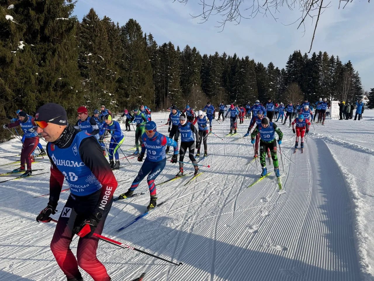 Сотрудники УМВД России по Вологодской области и УМВД России «Вологда» стали победителями на соревнованиях по лыжным гонкам Сотрудники УМВД России по Вологодской области и УМВД России «Вологда» стали победителями на соревнованиях по лыжным гонкам