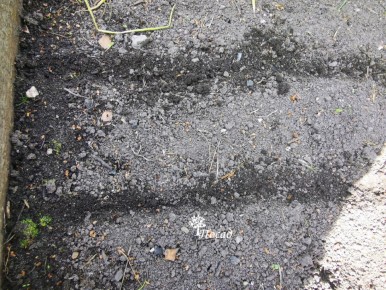 ������� � ������� � ����������� ������� ������� ������� ��� ����