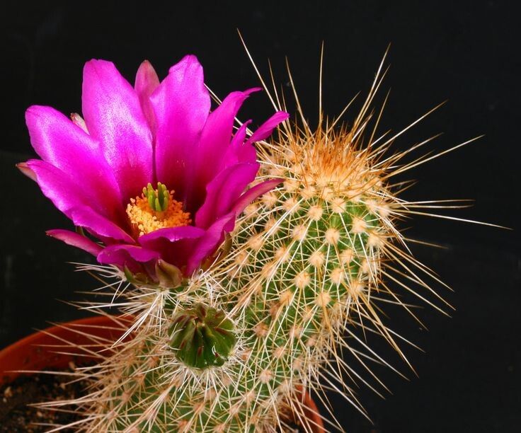 ������� ��� ����������: ��������� ����� ��� ������ ����� � ������������