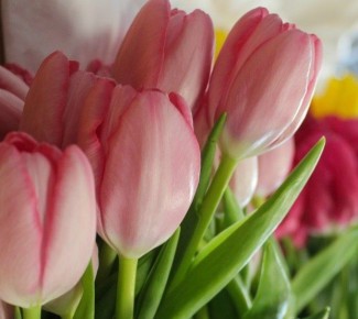 � ���������� ��������� 8 ����� �� ����������� ����� �������� ������� ������ ����������� �������