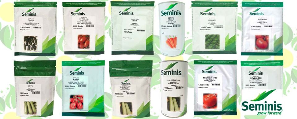 ���������������� ������: ��� �� ����� � ��� ��� �������� ���������