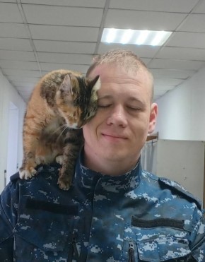 Сегодня, 1 марта, в России отмечается День кошек