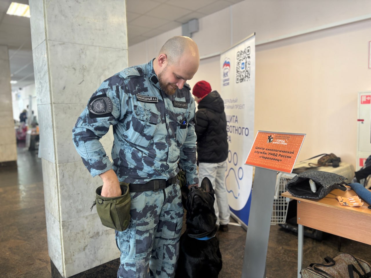 В Череповце сотрудники ЦКС приняли участие в акции помощи бездомным животным В Череповце сотрудники ЦКС приняли участие в акции помощи бездомным животным