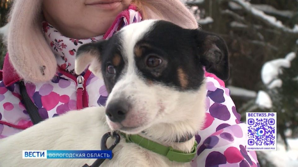 ������ ���: ��������� �������� ��������� �������� ������� ������� ������