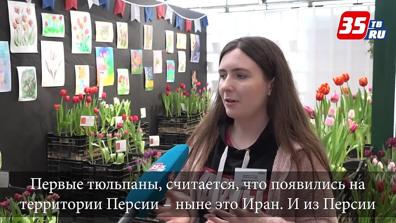 Оттенки весны: более 100 сортов тюльпанов можно увидеть в Ботаническом саду в Вологде
