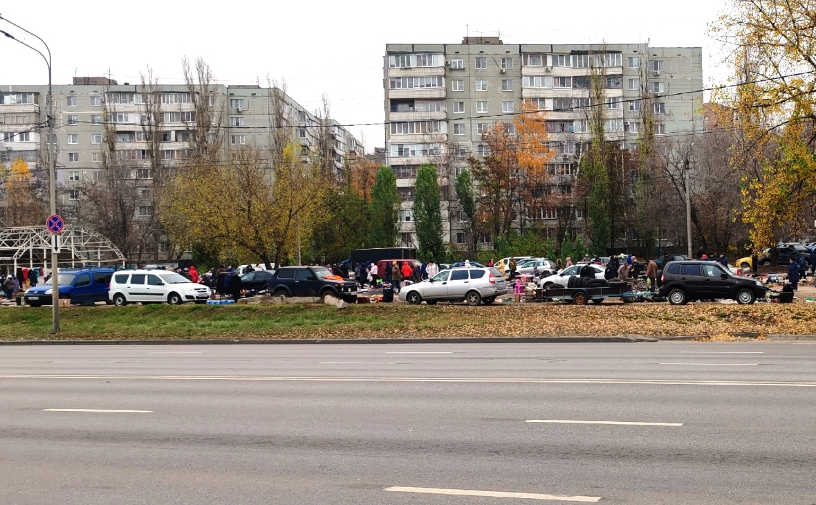 Новые возможности для бизнеса в Черноземье: НТО и налоговые льготы