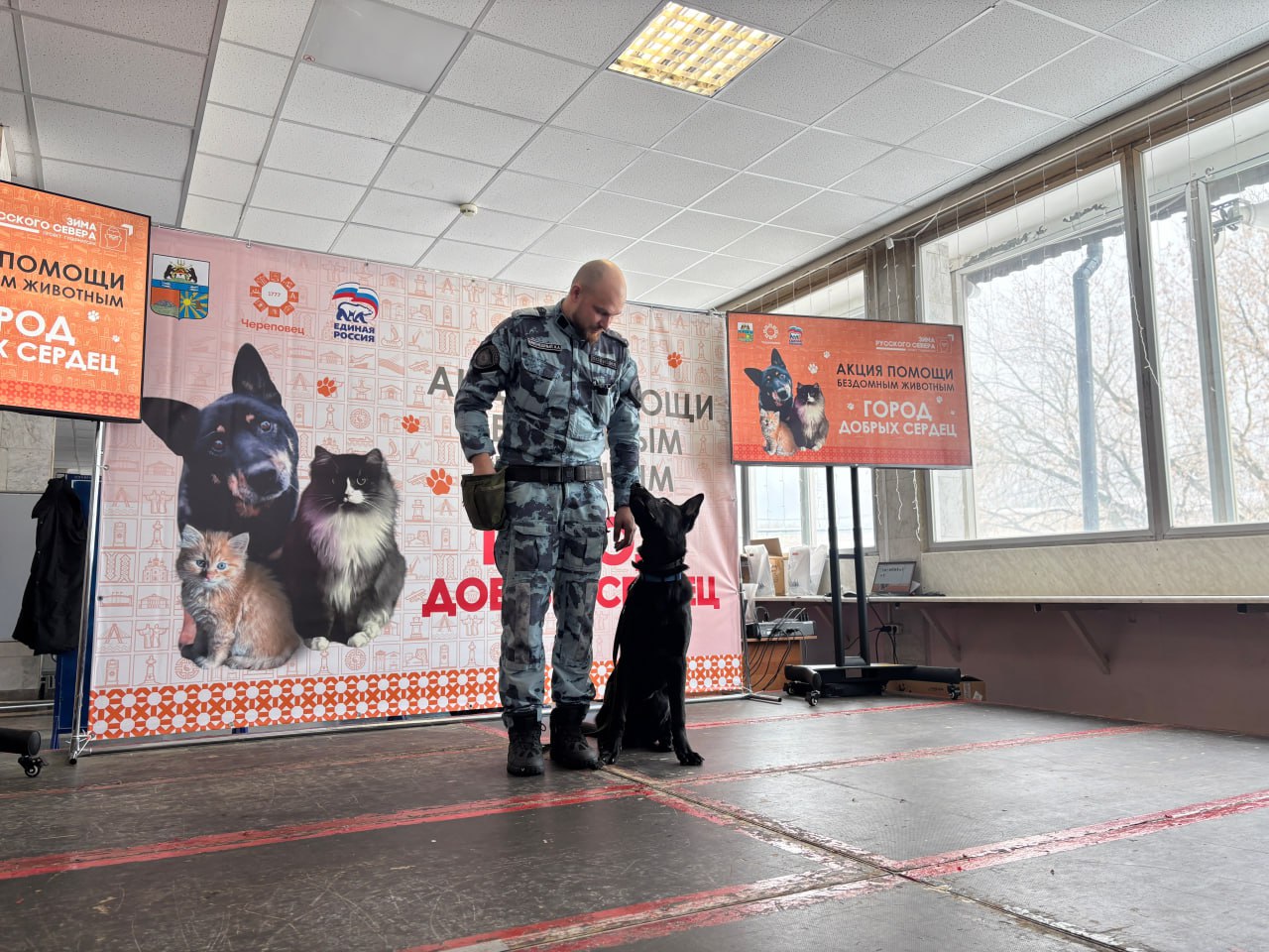 В Череповце сотрудники ЦКС приняли участие в акции помощи бездомным животным В Череповце сотрудники ЦКС приняли участие в акции помощи бездомным животным