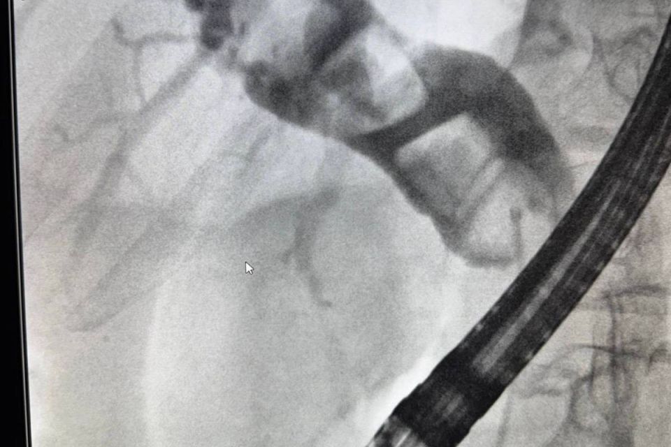 � ����������� ��������� ����������� �������� ����� ������� � ����� 89-������� �������� � ������������ ��������