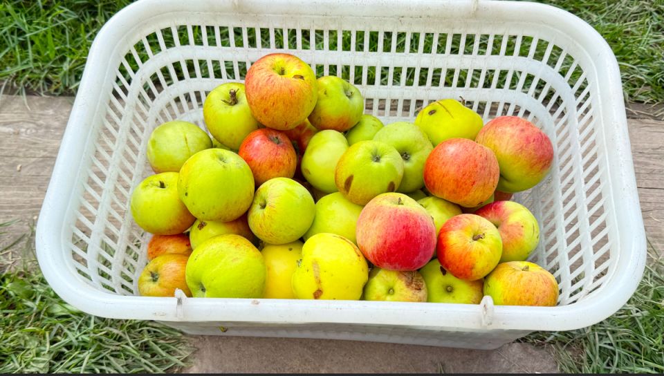 ����� �������� ������ ��� ����: ��������� ������� �� �������� ��������