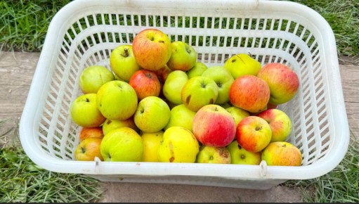 ����� �������� ������ ��� ����: ��������� ������� �� �������� ��������