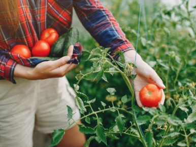 ��� ��������� �������� ������ � ������� ��� �������� ������