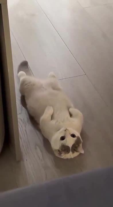 Днём по области -0° -5°, местами небольшой снег, мокрый снег