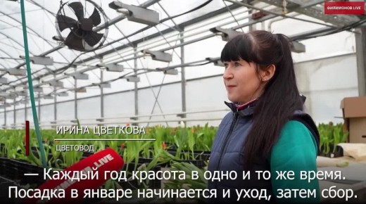 � �������������� �������� ��� � ������� ��������� 500 ����� ���������