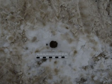 ������ ����������� ������� �������� � ������� ������ �� ���������� � �������� ����������