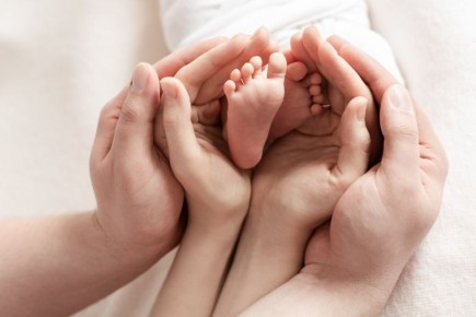 � ������� � ������������� ������ ����������� ������� �������� 252 ������