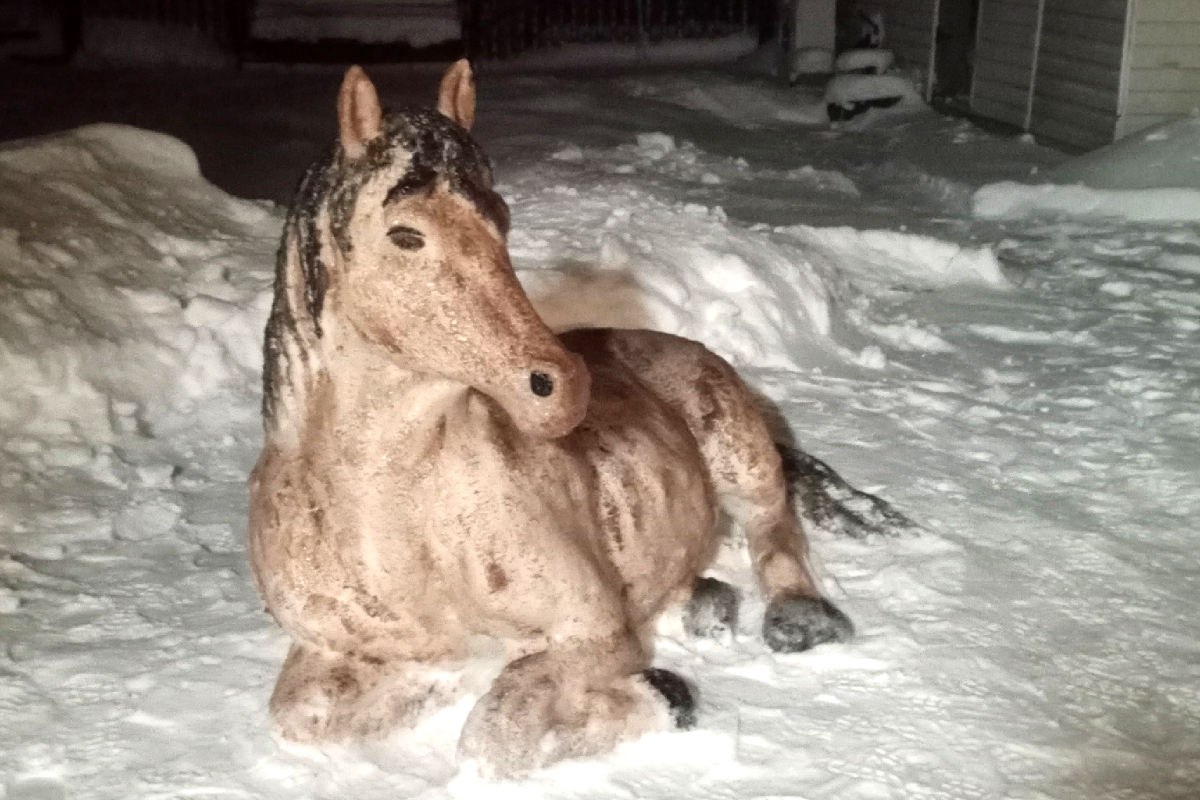Ольга Антипова из Кадуя уже много лет подряд создает удивительные снежные фигуры: от львов до мультяшного Карлсона