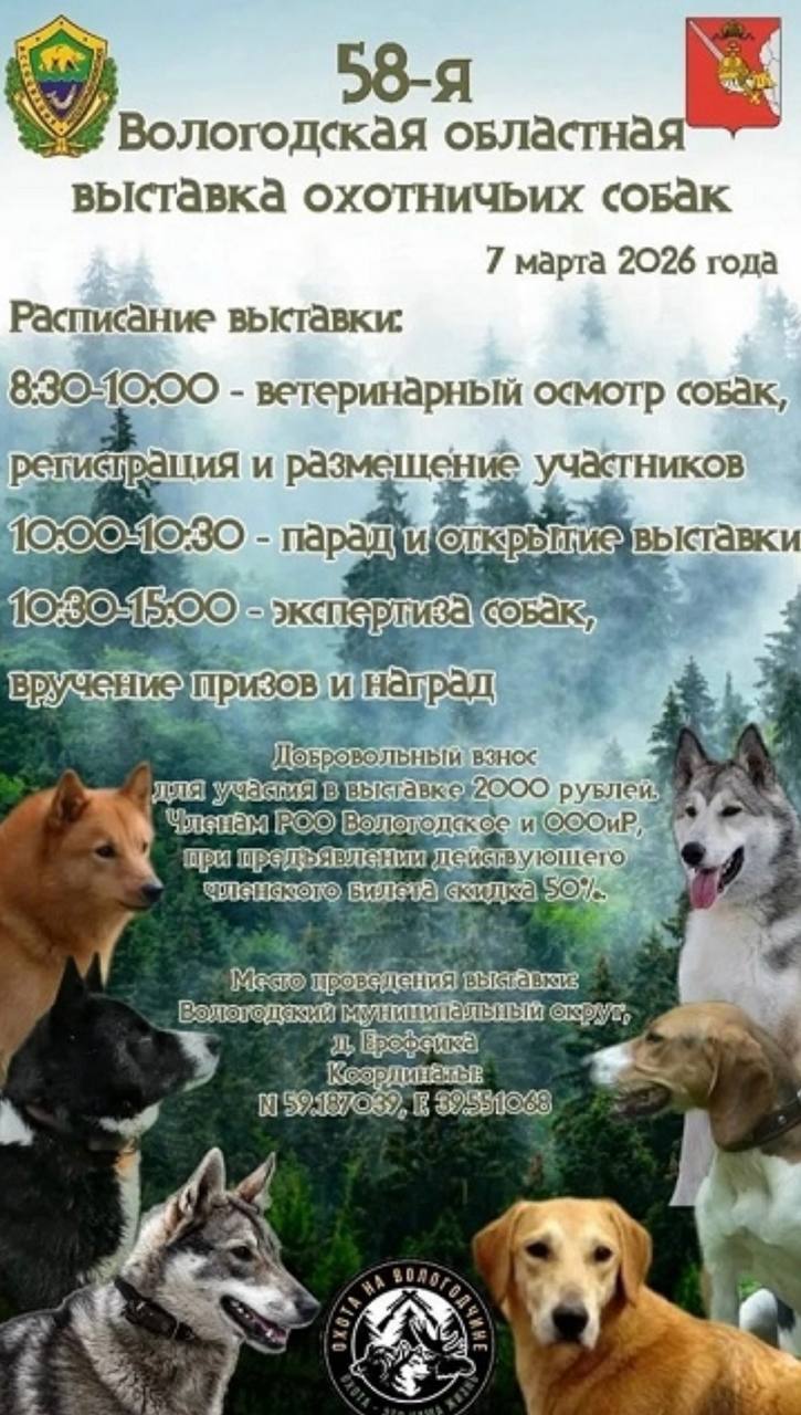 В Вологодском округе пройдет 58-я областная выставка собак охотничьих пород