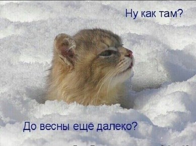 �� ������� ����������� � ����������� �������� ��������� 30-��������� ������