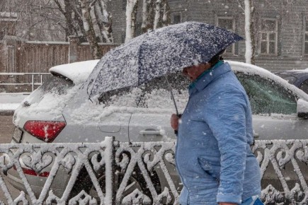 ��� ������������ � ����� �� 20 �/� � ������ � ����������� �������