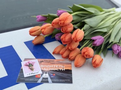 ���������� ���������������� ������������ ������ �������� �������� �������� ������� �� ������