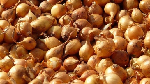 ��� ��������� ��������� ������ ��� �� �����������