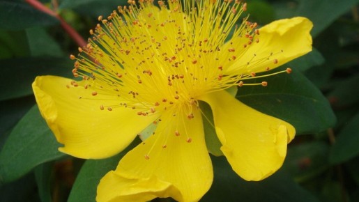 ��������: ������������� �������� ��� ������ ������� ����