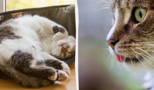 ������ ����� ������ �� ����: 4 ���������� ����� ���������