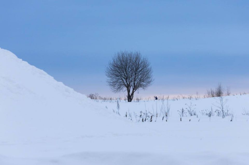Днём -2° +3°, небольшой, местами умеренный снег, мокрый снег, в отдельных восточных округах сильный снег