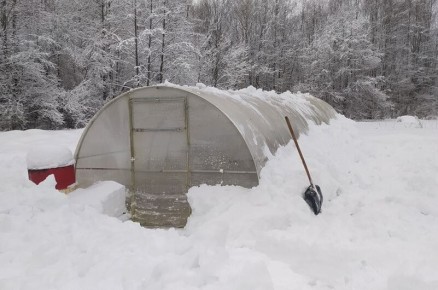 ������ ���� � ������� � ���� ���� �� ��������: 2 �������� �������