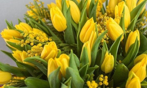 ����������� ������������� ���������� �� � ������-�������� ����������� ������ ����� ������ ��������� ������ � 8 �����