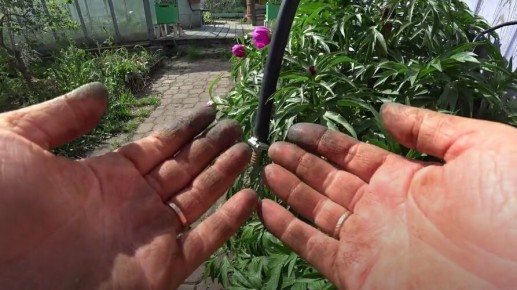 ��� ��������� ������� ���� ����� ������ � ����