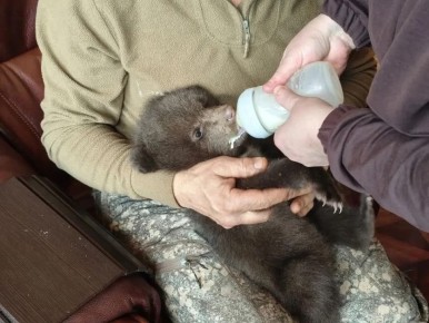 ������ � ������� ����. ���� ����������� �������� ������ � ����������� ������