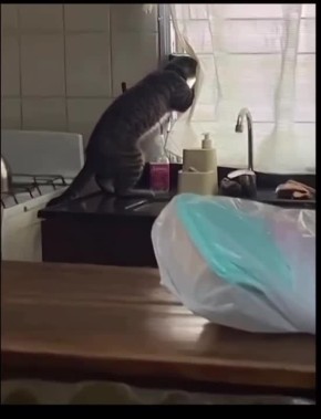 � ��� ��� � ��� � ������� �� �����?