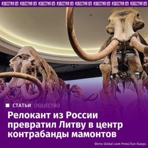 Крупный канал контрабанды из России в Европу бивней мамонта, черепов шерстистого носорога и других ископаемых животных контролирует осевший в Литве релокант — бывший антиквар из Приморья Николай Иванюшин, выяснили "Известия"