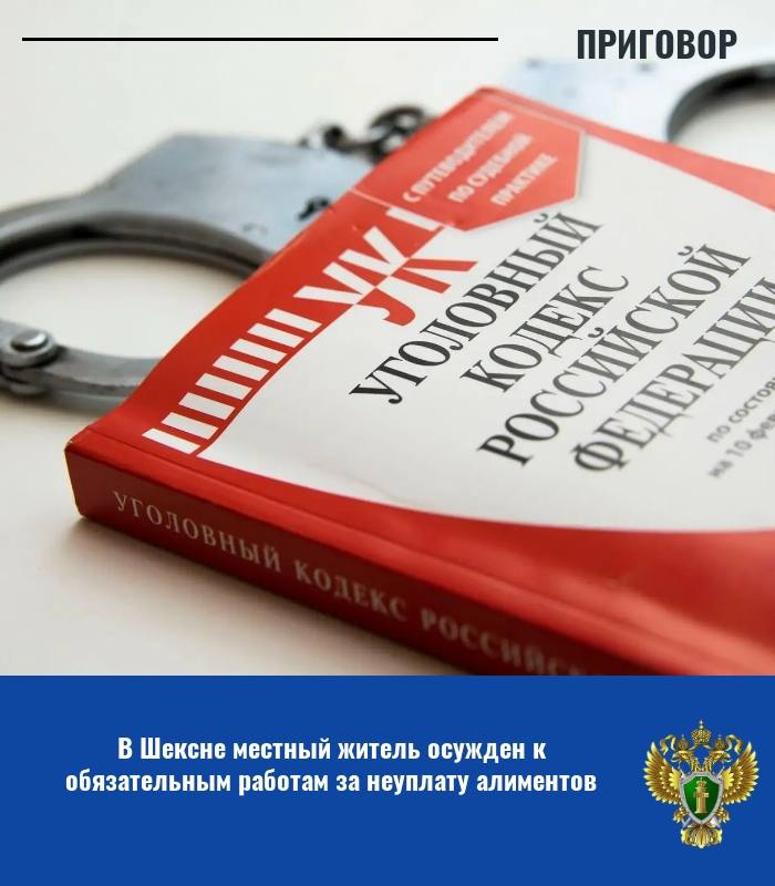 Прокуратурой Шекснинского района поддержано государственное обвинение по уголовному делу в отношении 37-летнего жителя п. Шексна. Судом он признан виновным в совершении преступления по ч. 1 ст. 157 УК РФ (неуплата родителем...