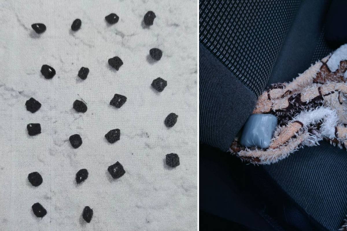 В Череповце задержан подозреваемый в попытке сбыта крупной партии наркотиков